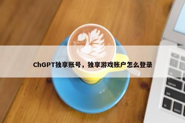ChGPT独享账号，独享游戏账户怎么登录