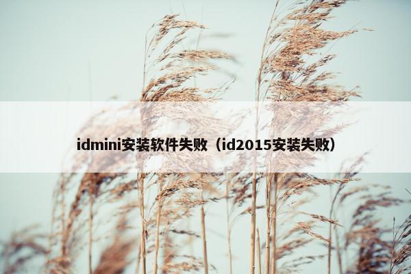 idmini安装软件失败（id2015安装失败）