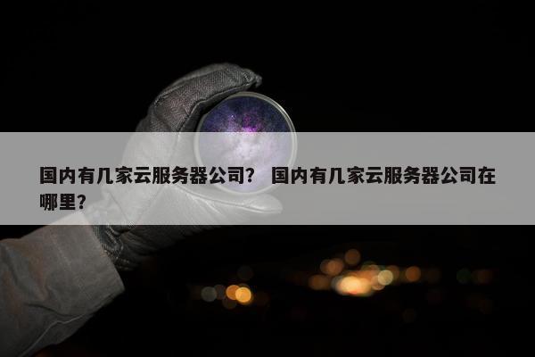 国内有几家云服务器公司？ 国内有几家云服务器公司在哪里？