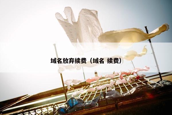 域名放弃续费（域名 续费）