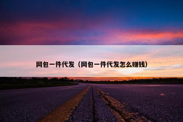网包一件代发（网包一件代发怎么赚钱）