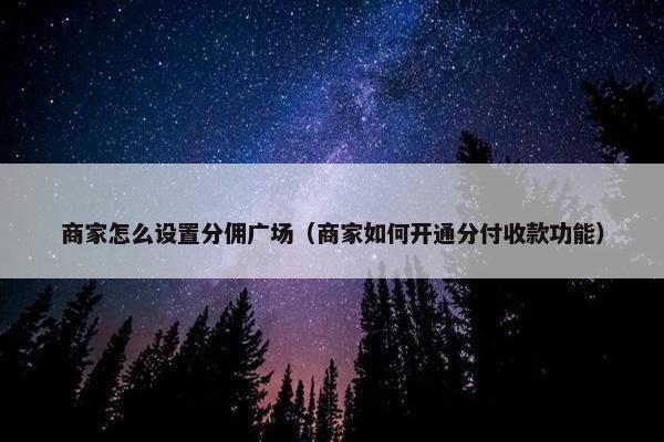 商家怎么设置分佣广场(商家如何开通分付收款功能)
