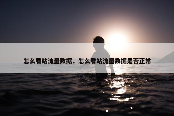 怎么看站流量数据，怎么看站流量数据是否正常