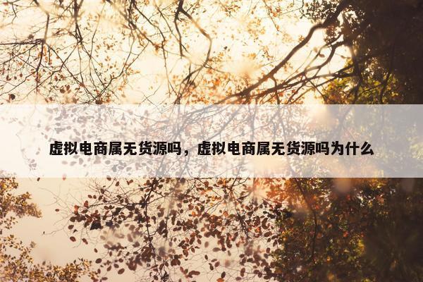 虚拟电商属无货源吗，虚拟电商属无货源吗为什么
