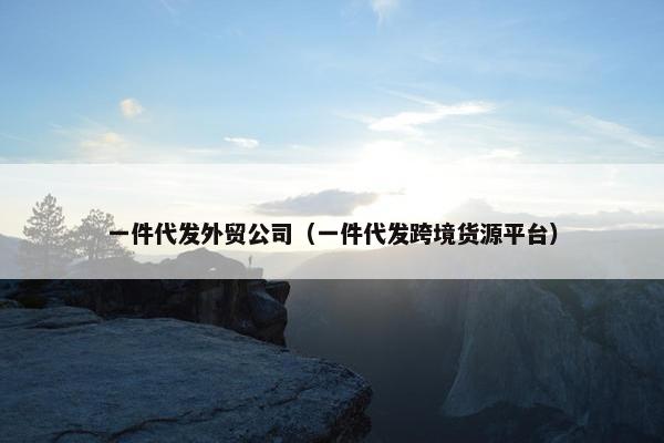 一件代发外贸公司(一件代发跨境货源平台)