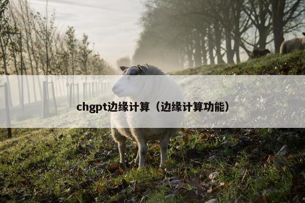 chgpt边缘计算（边缘计算功能）