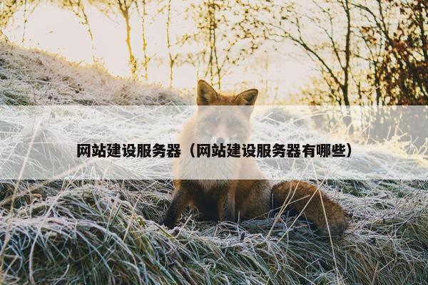 网站建设服务器（网站建设服务器有哪些）