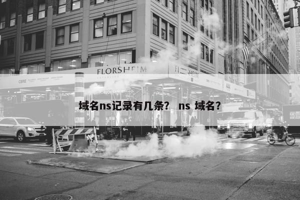 域名ns记录有几条？ ns 域名？