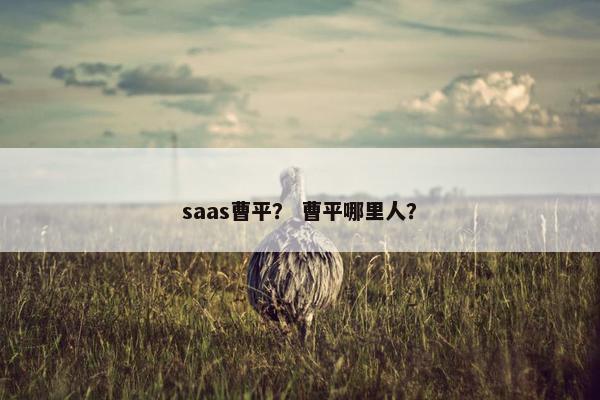 saas曹平? 曹平哪里人?