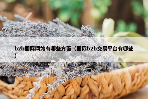 b2b国际网站有哪些方面（国际b2b交易平台有哪些）
