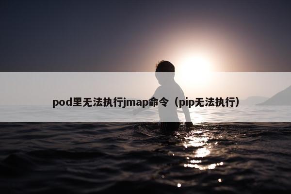 pod里无法执行jmap命令（pip无法执行）