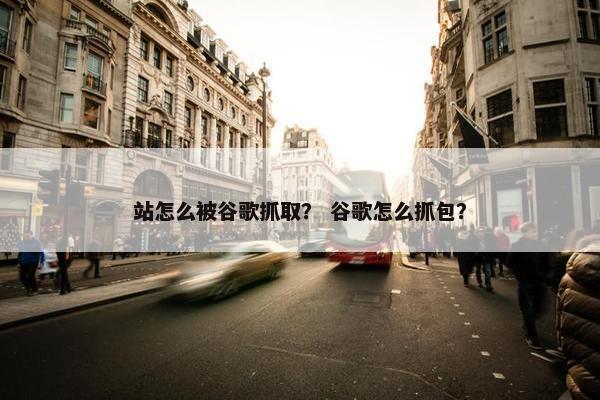 站怎么被谷歌抓取？ 谷歌怎么抓包？