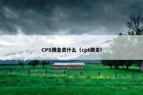 CPS佣金卖什么（cpt佣金）