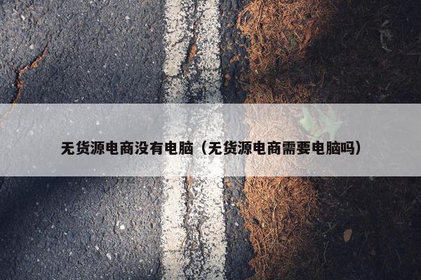 无货源电商没有电脑(无货源电商需要电脑吗)