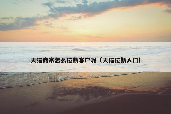 天猫商家怎么拉新客户呢(天猫拉新入口)