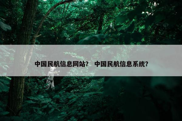 中国民航信息网站? 中国民航信息系统?