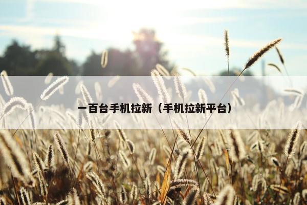 一百台手机拉新（手机拉新平台）