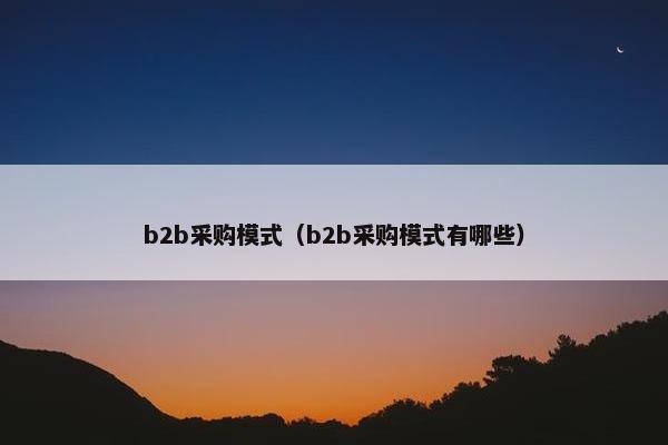 b2b采购模式(b2b采购模式有哪些)
