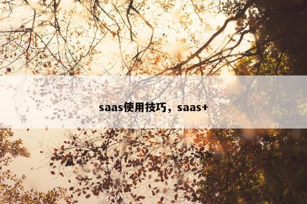 saas使用技巧，saas+