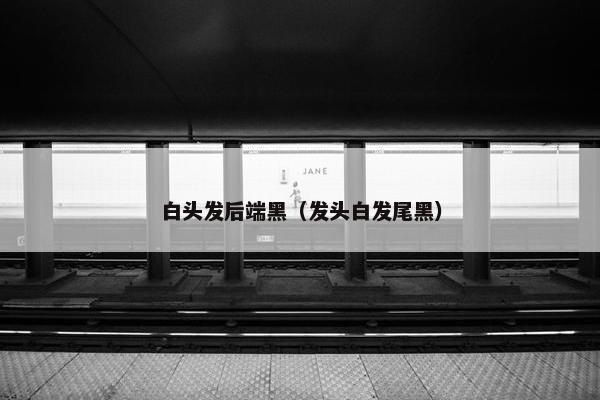 白头发后端黑（发头白发尾黑）