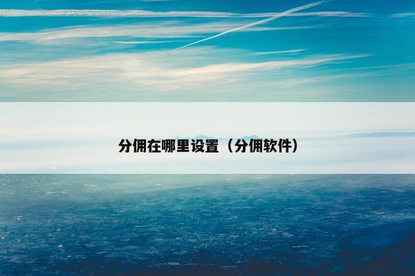 分佣在哪里设置（分佣软件）