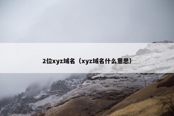 2位xyz域名（xyz域名什么意思）