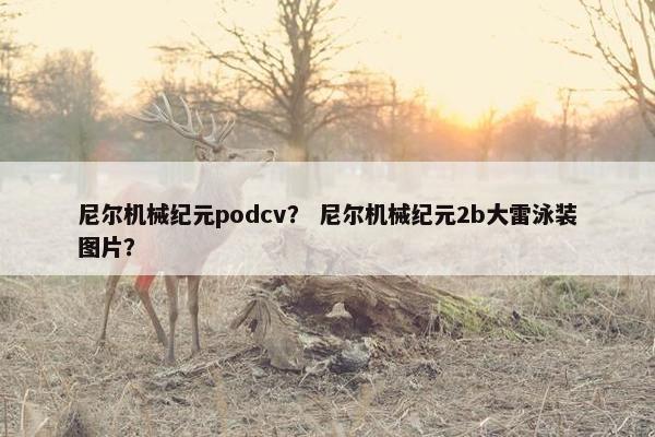 尼尔机械纪元podcv？ 尼尔机械纪元2b大雷泳装图片？