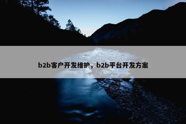 b2b客户开发维护，b2b平台开发方案
