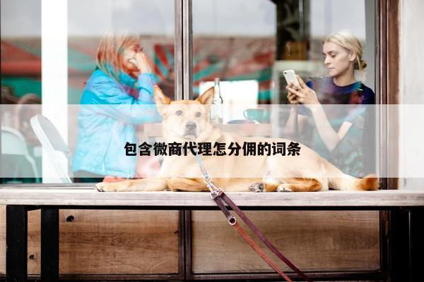 包含微商代理怎分佣的词条