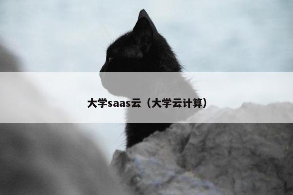 大学saas云（大学云计算）