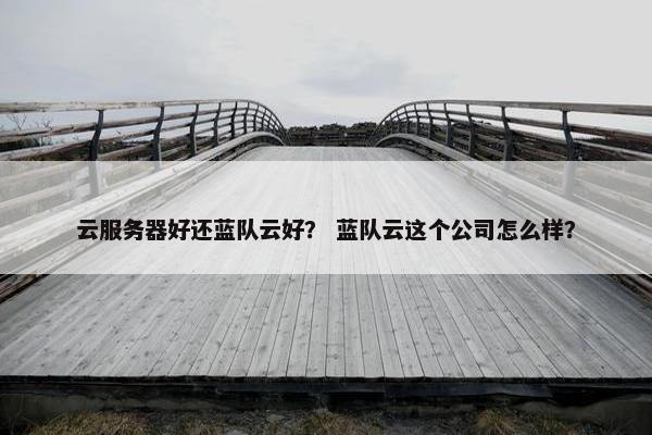 云服务器好还蓝队云好？ 蓝队云这个公司怎么样？