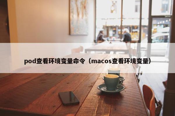 pod查看环境变量命令(macos查看环境变量)