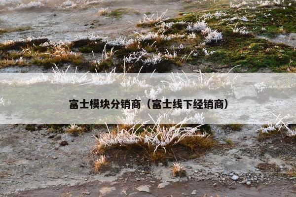 富士模块分销商（富士线下经销商）