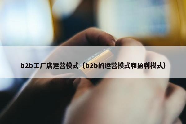 b2b工厂店运营模式(b2b的运营模式和盈利模式) b2b工厂店运营模式(b2b的运营模式和盈利模式)