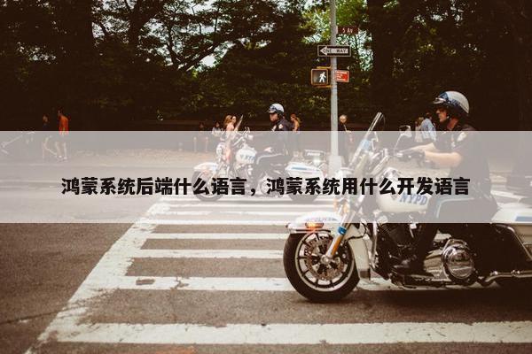 鸿蒙系统后端什么语言，鸿蒙系统用什么开发语言