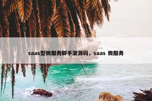 saas型微服务脚手架源码，saas 微服务