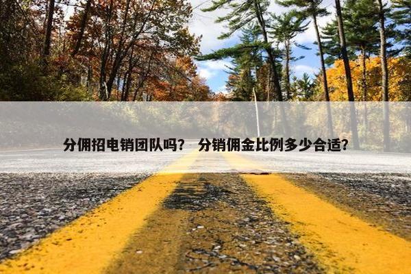 分佣招电销团队吗? 分销佣金比例多少合适?