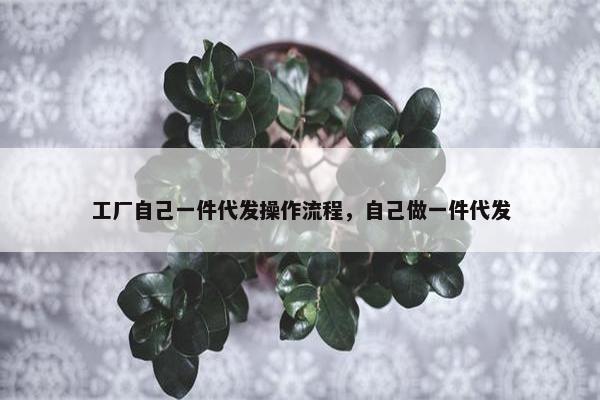 工厂自己一件代发操作流程,自己做一件代发
