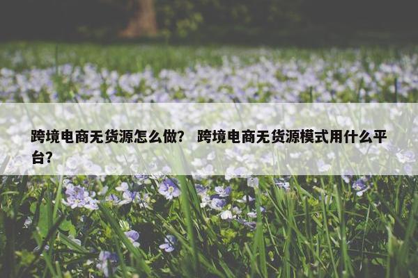 跨境电商无货源怎么做？ 跨境电商无货源模式用什么平台？