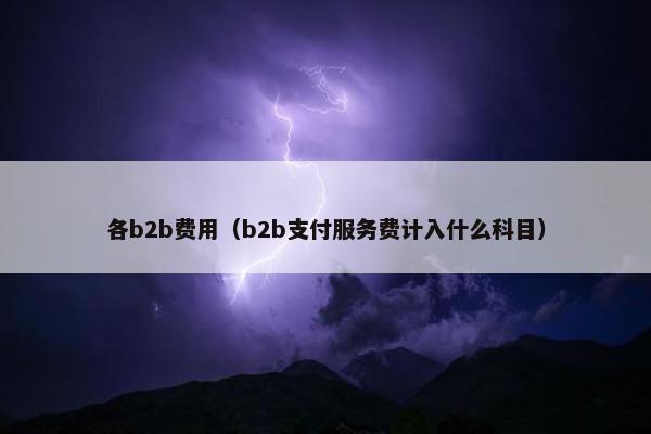 各b2b费用（b2b支付服务费计入什么科目）