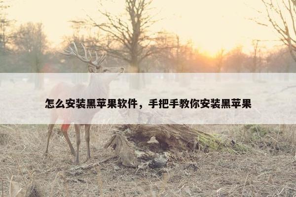 怎么安装黑苹果软件,手把手教你安装黑苹果