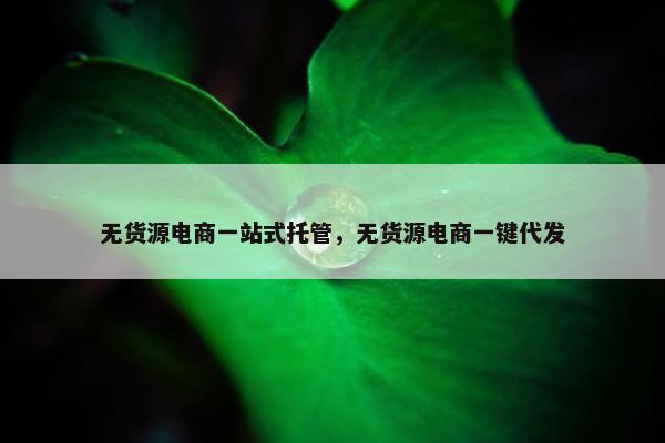 无货源电商一站式托管，无货源电商一键代发