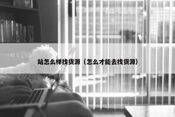 站怎么样找货源（怎么才能去找货源）