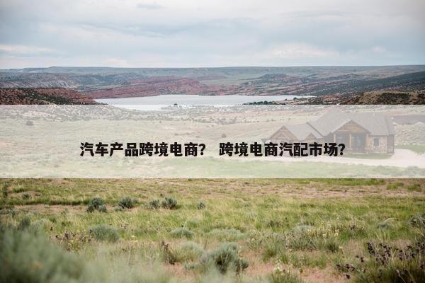 汽车产品跨境电商? 跨境电商汽配市场?