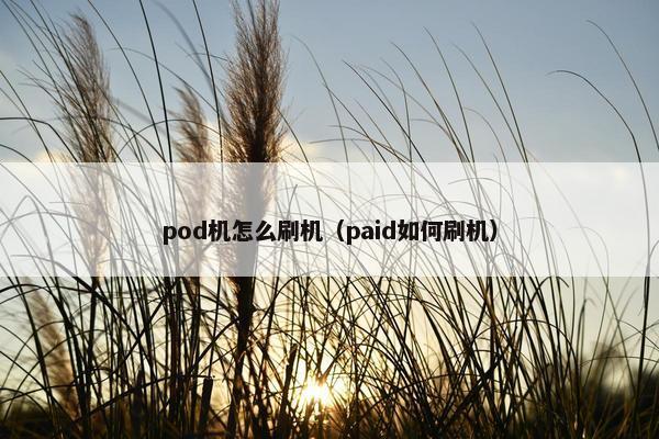 pod机怎么刷机（paid如何刷机）