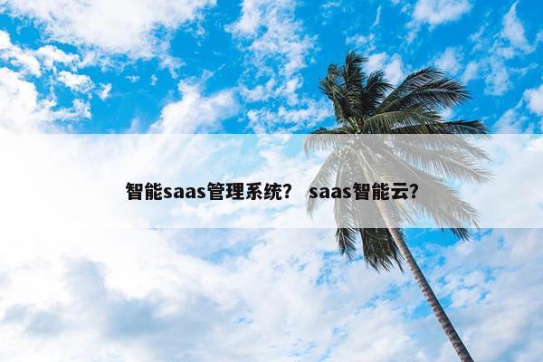 智能saas管理系统? saas智能云?